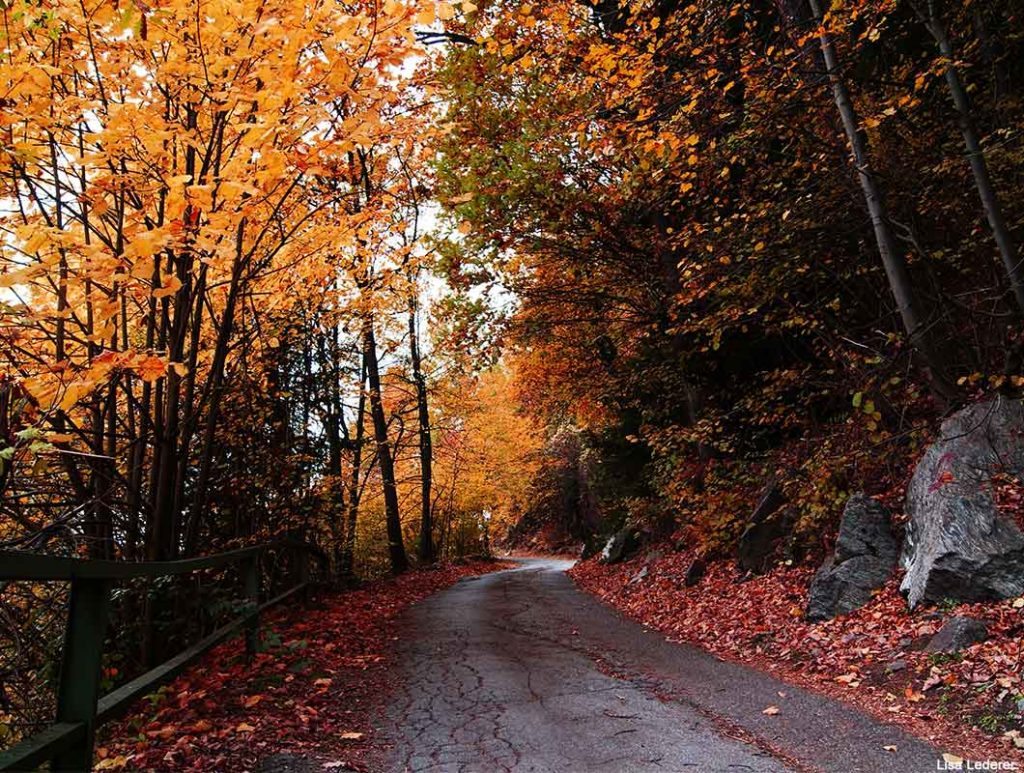 Byebye heat 15 reasons why autumn is better than summer