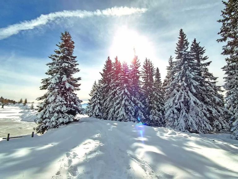 Was kann man im Winter machen? Diese 30 Tipps verraten es dir!