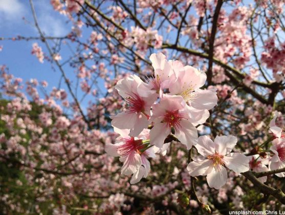 Fit durch den April: die Frühlings-Power richtig nutzen