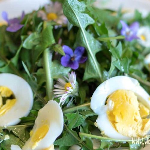 Dandelion salad recipe