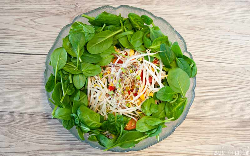 Salad for weight loss with spinach