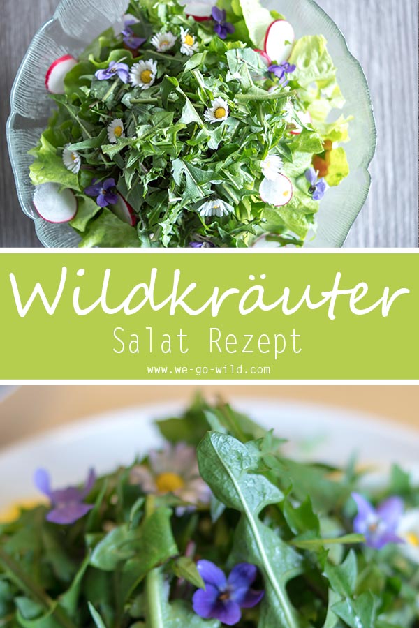 Leckere essbare Wildkräuter für deinen Wildkräuter-Salat