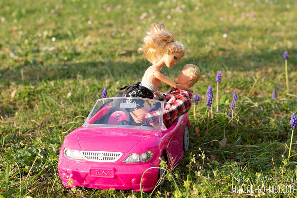 Sex im Auto Was du wirklich darüber wissen musst WE GO WILD