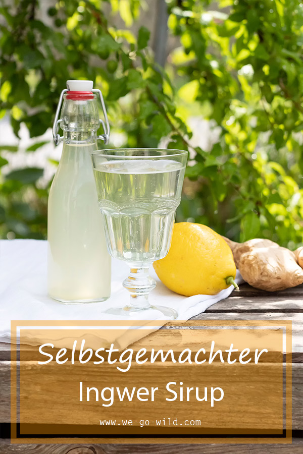Ingwersirup selber machen ohne Zucker WE GO WILD