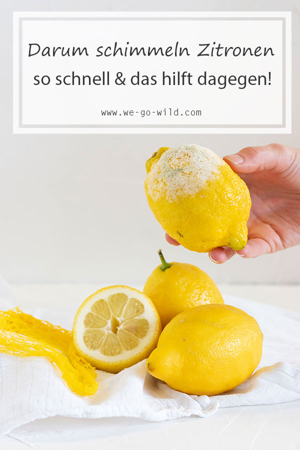 Lemons mold quickly why and what helps against it? WE GO WILD