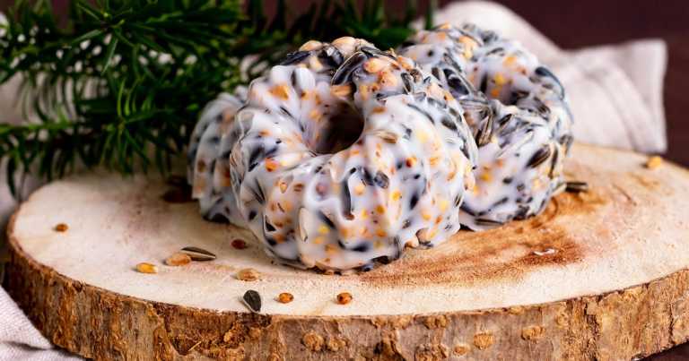 meisenknödel mit kokosfett