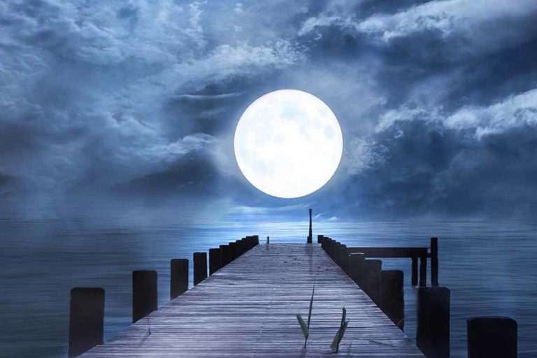 Wann ist Vollmond 2021 und wann ist Neumond? - WE GO WILD
