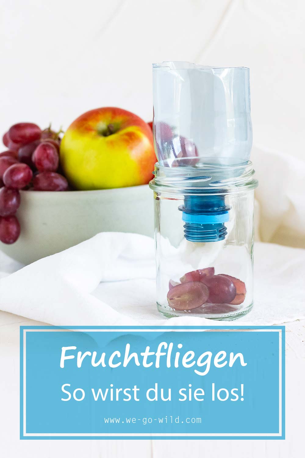 Fruchtfliegenfalle selber machen 6 Fallen, die funktionieren!