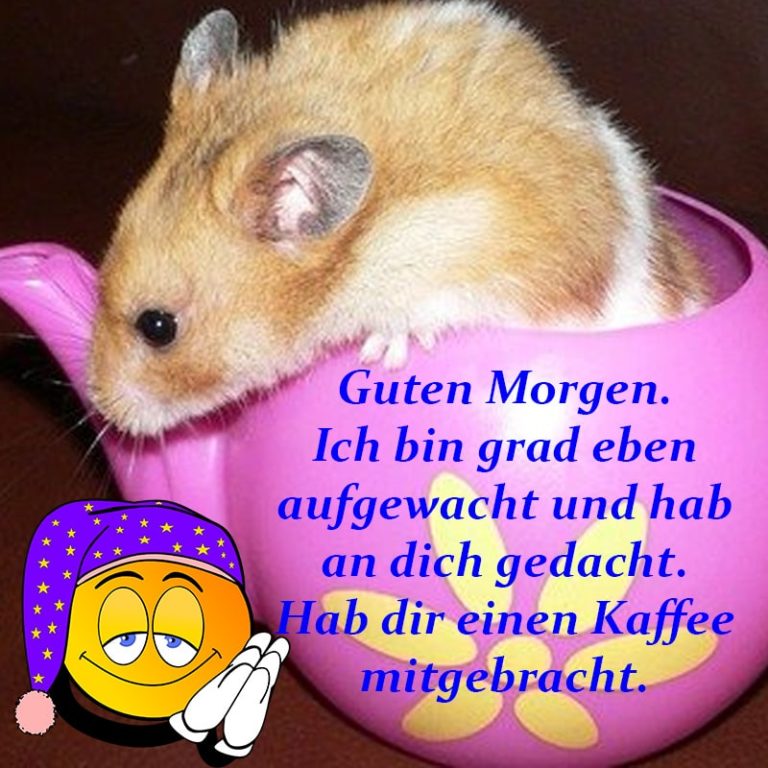Guten Morgen Ich Bin Wach Bilder