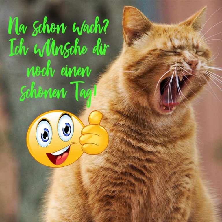 Guten Morgen Ich Bin Wach Bilder