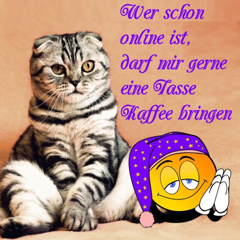 Guten Morgen Ich Bin Wach Bilder